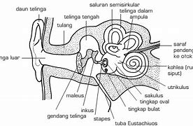 Fungsi Tingkap Oval Adalah